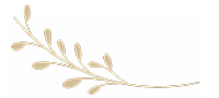 leave_Asset-5_2-1024×490